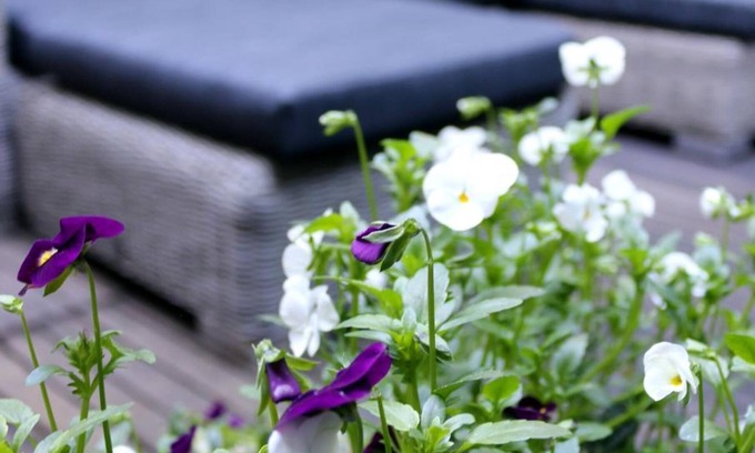 Oude Pijp Hotel | Max Hotel Amsterdam