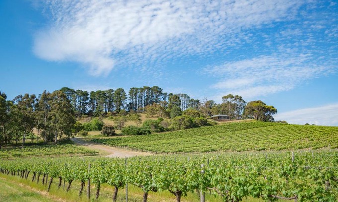 McLaren Flat Casa | McLaren Vale Getaways