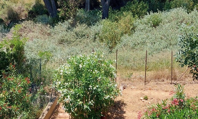 Saint-Pierre-la-Mer Cabina | Bandera mediterránea San Pedro del mar, cerca de la playa de Narbonne.