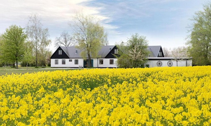 Kivik Cama Y Desayuno | Mellby Atelier på Österlen