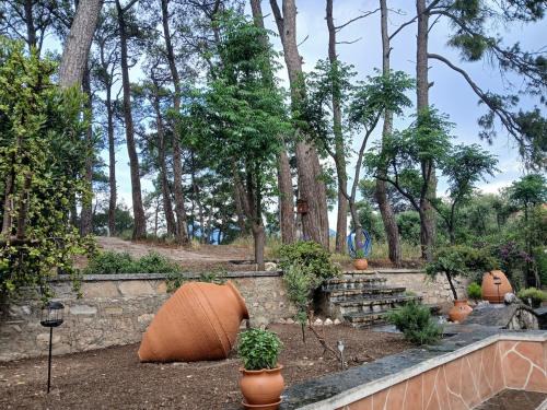 Karlovassi Apartamento | Melody cottage, Samos