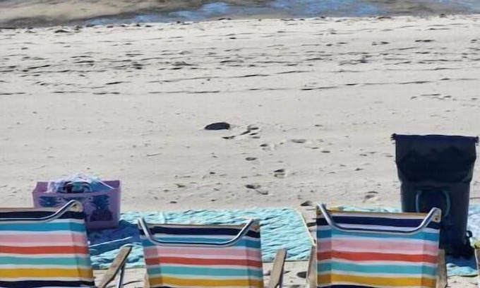 Mississippi City Casa | Mermaid Cove steps from beach. Hot Tub!