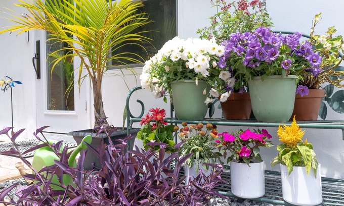 Miami Shores Apartamento | Miami's Paradise