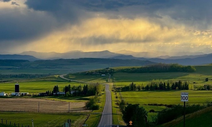 Calgary Otro | Mid- Century Modern Farm, Saltwater pool, hot tub, sauna, cold plunge and gym