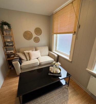 Trondheim City Centre Apartamento | Midt i byen