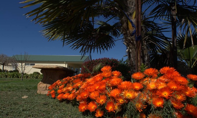 Milawa Cama Y Desayuno | Milawa Muscat Retreat B&B
