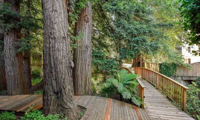 Mill Valley Hotel | Mill Valley Inn