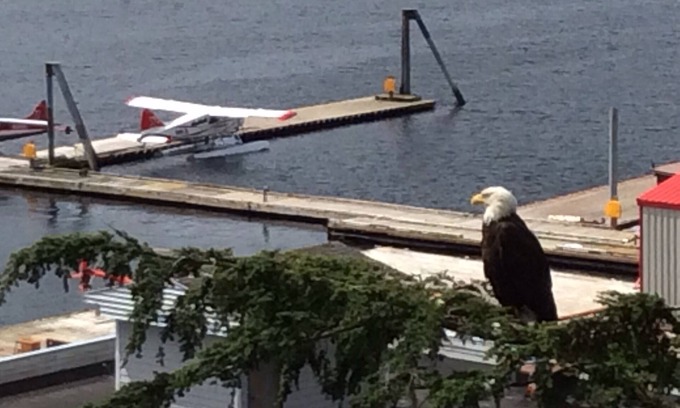 Ketchikan Casa | Million Dollar Water View en la calle histórica
