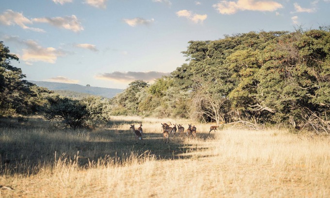 Mookgopong Casa | Mmakuba Game Lodge, Villa de dos habitaciones 3