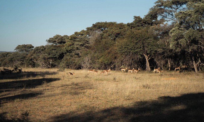 Mookgopong Casa | Lodge de caza privado Mmakuba, suite superior 5