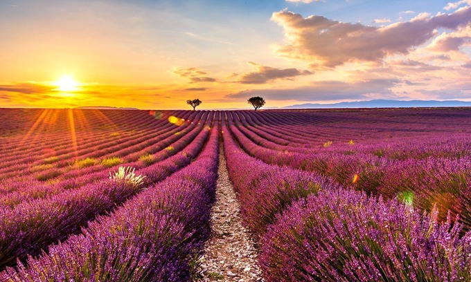 Oraison Villa | Villa moderna con aire acondicionado, piscina y vistas impresionantes.
