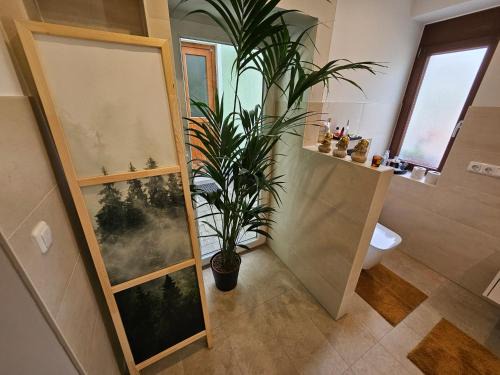 Solz Apartamento | Modern, ruhig, gemütlich inmitten der Rhön