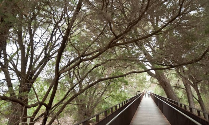 Bassendean Apartamento | Modernista Getaway: Your Airport Retreat