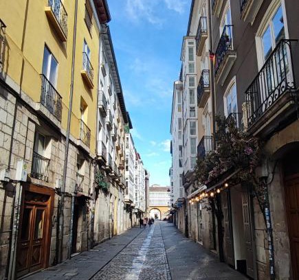 Burgos Apartamento | Monasterio Centro Histórico