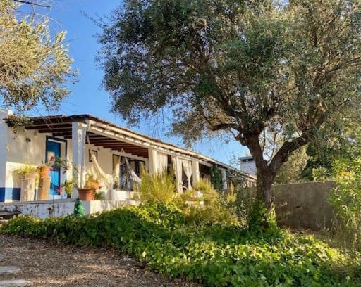 Malarranha Casa | Monte Courela: piscina, natureza e paz no Alentejo