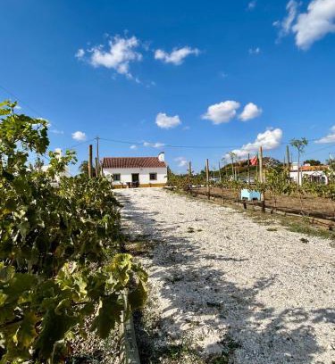 Vila Vicosa Casa | Monte da Rochela