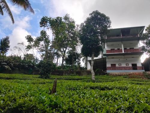 Udumbanchola Cama Y Desayuno | Monte Sereno Munnar