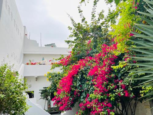 Amer Casa | Mosaics Guest House