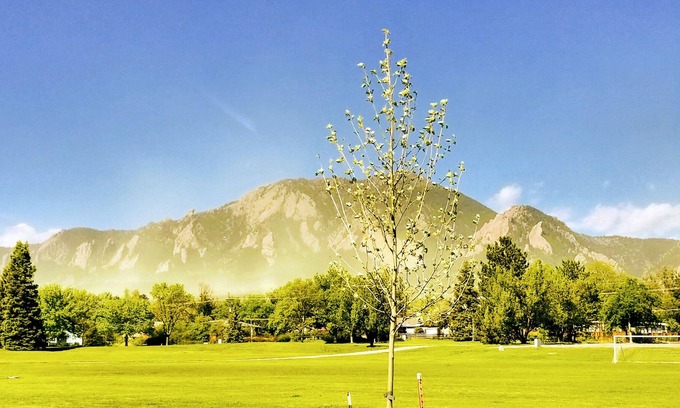 Martin Acres Condominio | Acceso a la montaña y cerca del campus de CU