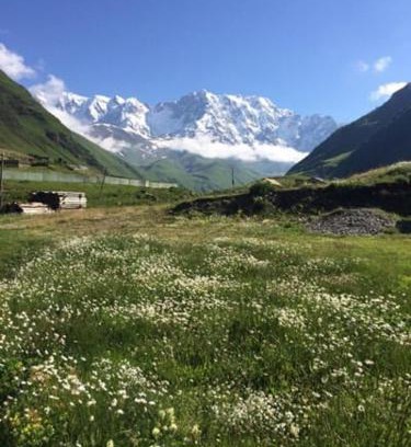 Ushguli Casa | Mountain house