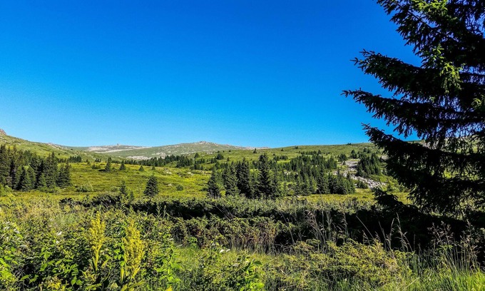 Vitosha District Casa | Suite Mountain Lodge con vistas fascinantes