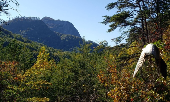 Cleveland Cabina | Mountains-Lakes-Parks-Winery-Privacy-Serenity Pick me for your Labor Day stay!