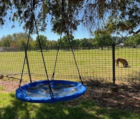 Harvey Casa | Myra Downs