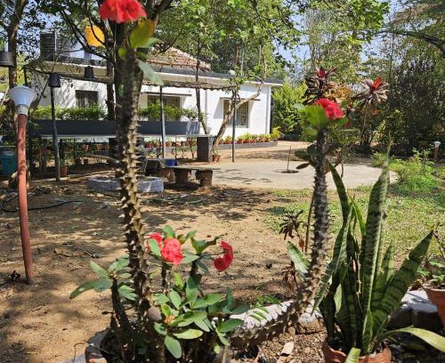 Piriyapatna Casa | Mysticgreens Home Stay