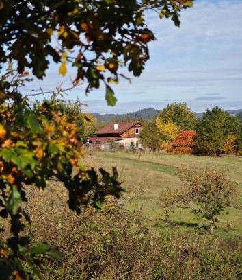 Nepomuk Casa | Na Samotě u tratě
