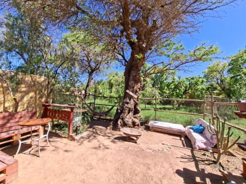 Yerbas Buenas Hotel | Nativo Atacama