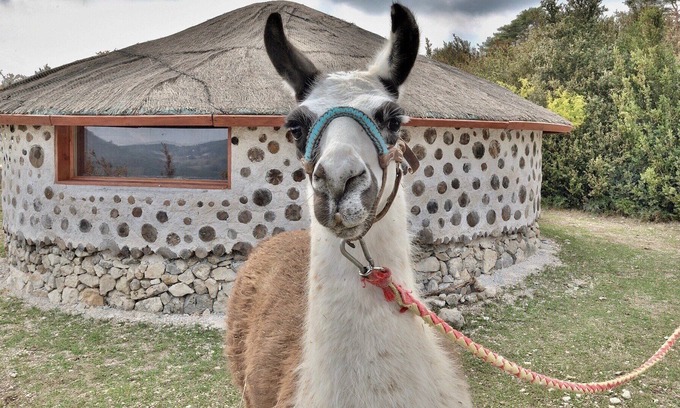 Bargeme Cabina | Caso africano natural