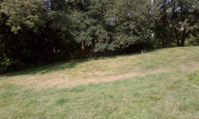 Saint-Cyr-des-Gats Cabina | Nature and tranquility pods.