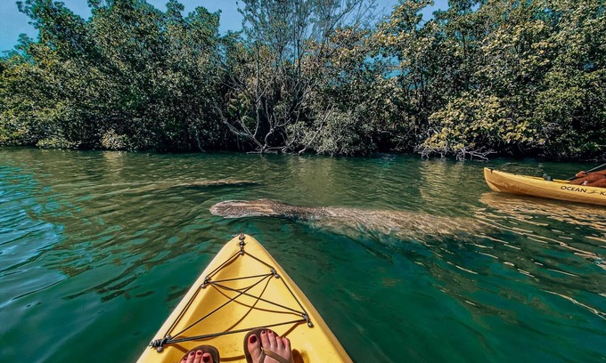 Key Largo Alquiler De Eote | Nature Retreat Sailboat Escape