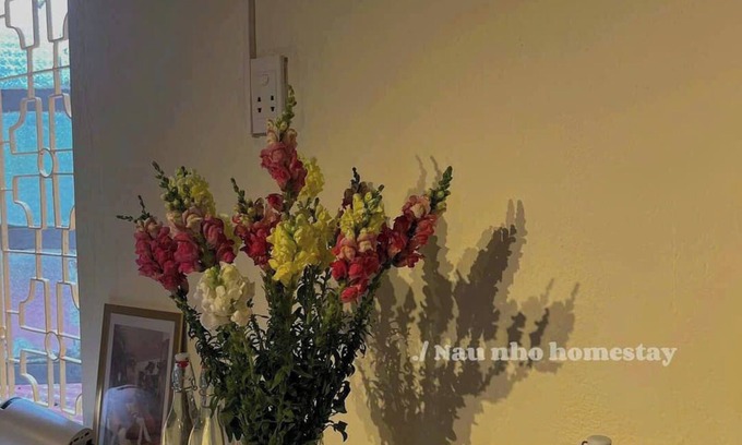 Ngo Quyen Apartamento | Nau Nho Homestay