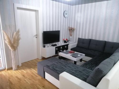 Central Serbia Apartamento | Nenadovic Apartman