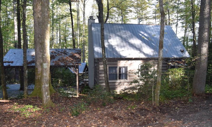 Cashiers Cabina | New Listing! Rustic Cabin in the Laurels, in town, pet-friendly