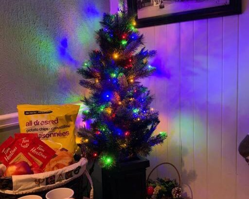 Hamilton Apartamento | Newly renovated bsmt apartment with free parking