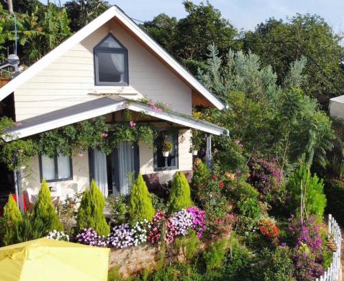Da Lat Casa | Nhà Hoa Nắng Homestay Cầu Đất Đà Lạt