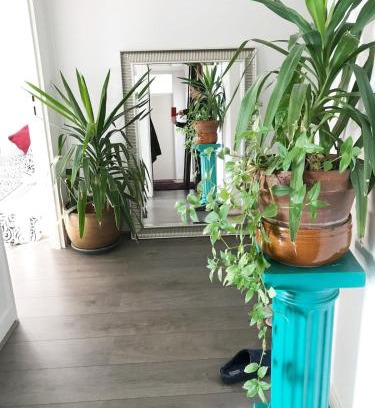 Mont-Mesly Apartamento | Nice place 80m2- 2 to 8 beds- 30min from Paris 15min Aeroport Orly