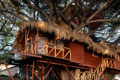 San Luis Soyatlán Cabina | Nido Ecoluxury - Villa San Luis Boutique