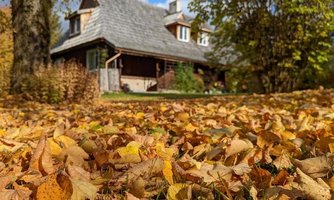 Dwernik Cama Y Desayuno | Noclegi U Lestka