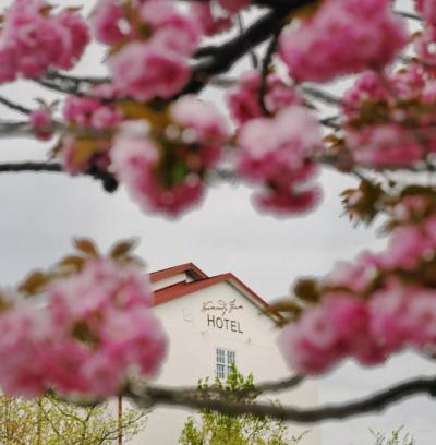 Blue Bell Hotel | Normandy Farm Hotel & Conference Center