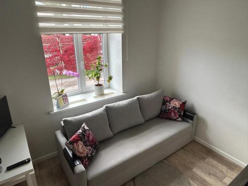 Vecmilgravis Apartamento | Northern Lights small apartment at Emmas Street 28, Riga