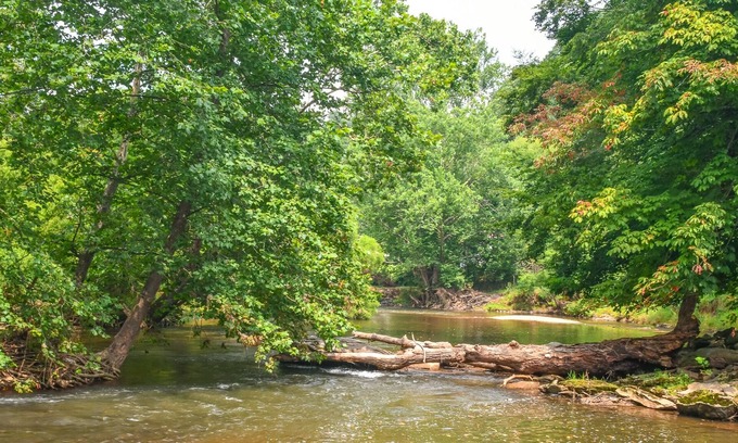Warrensville Cabaña | NOW BOOKING RIVER OTTER COTTAGE! 2BR/1BA ON THE NEW RIVER W/FIREPIT AND WIFI