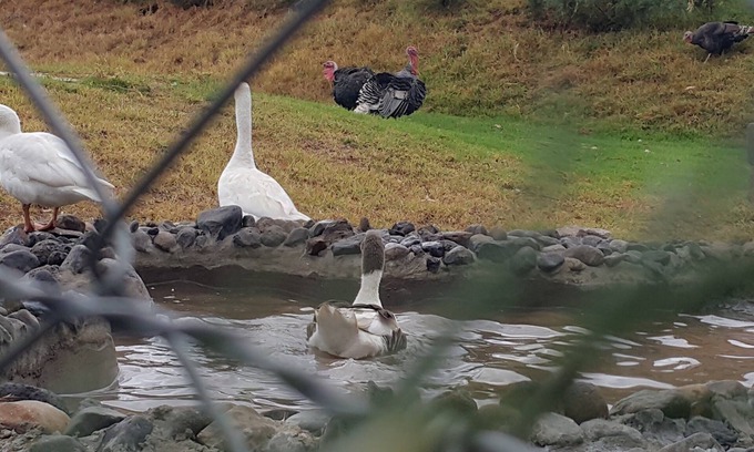 Nakuru County Casa | Casa Nyakinyua: pruebe los placeres de la vida en el campo de Kenia