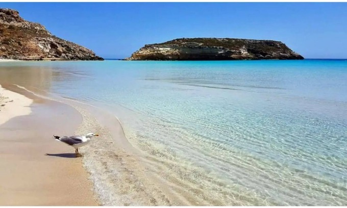 Caltabellotta Apartamento | O'SCIà apartment in LAMPEDUSA