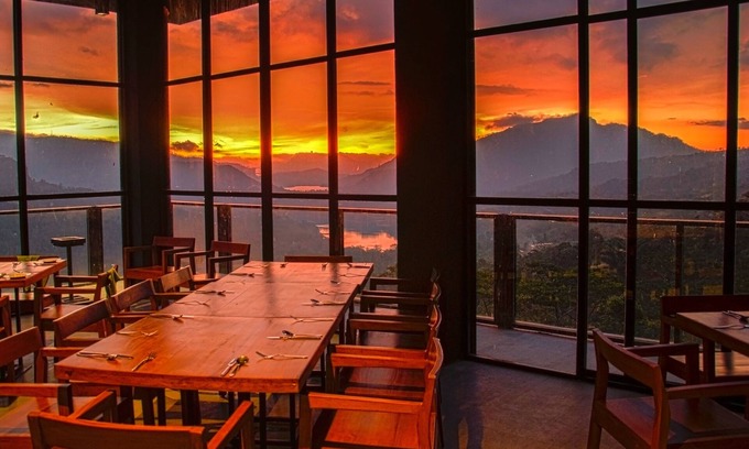 Ramboda Hotel | Oak Ray Tea Bush