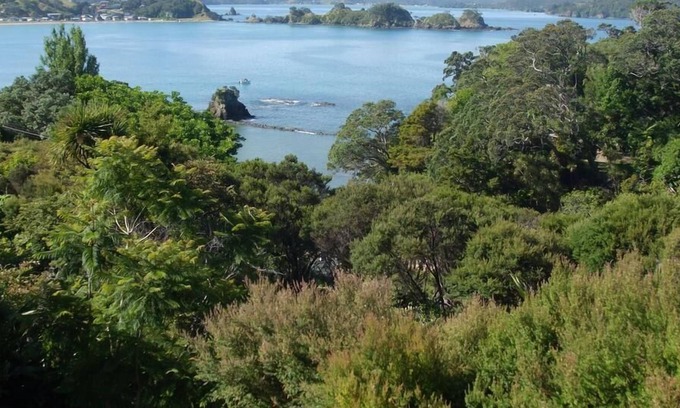 Oakura Casa | Vista de la bahía de Oakura (La Belle Vue)