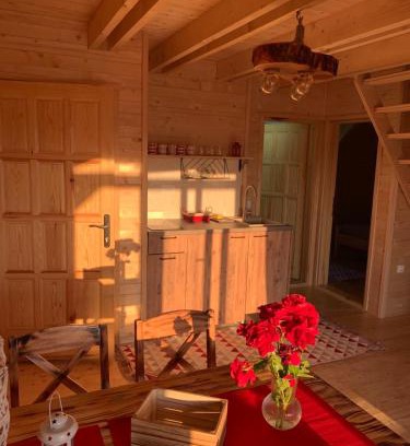 Zlatibor Apartamento | Oaza mira 3