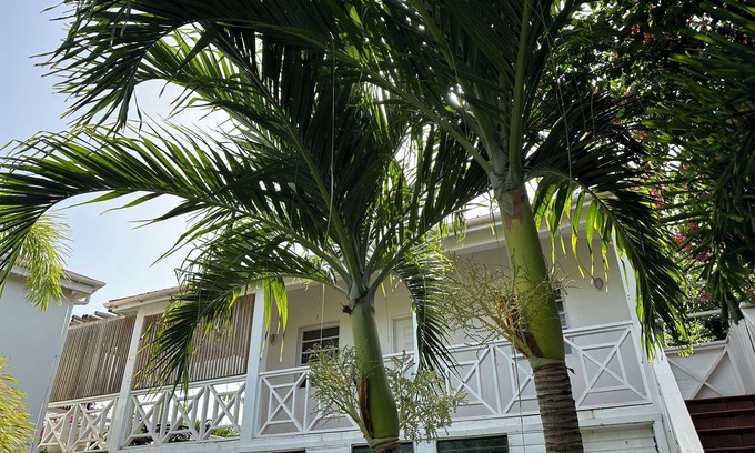 Dickenson Bay Apartamento | Oceanfront Studio w/Amazing Views and Private Beach Access.